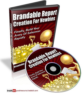 Product picture *NEW!*  Brandable Report Creation For Newbies -With PLR*